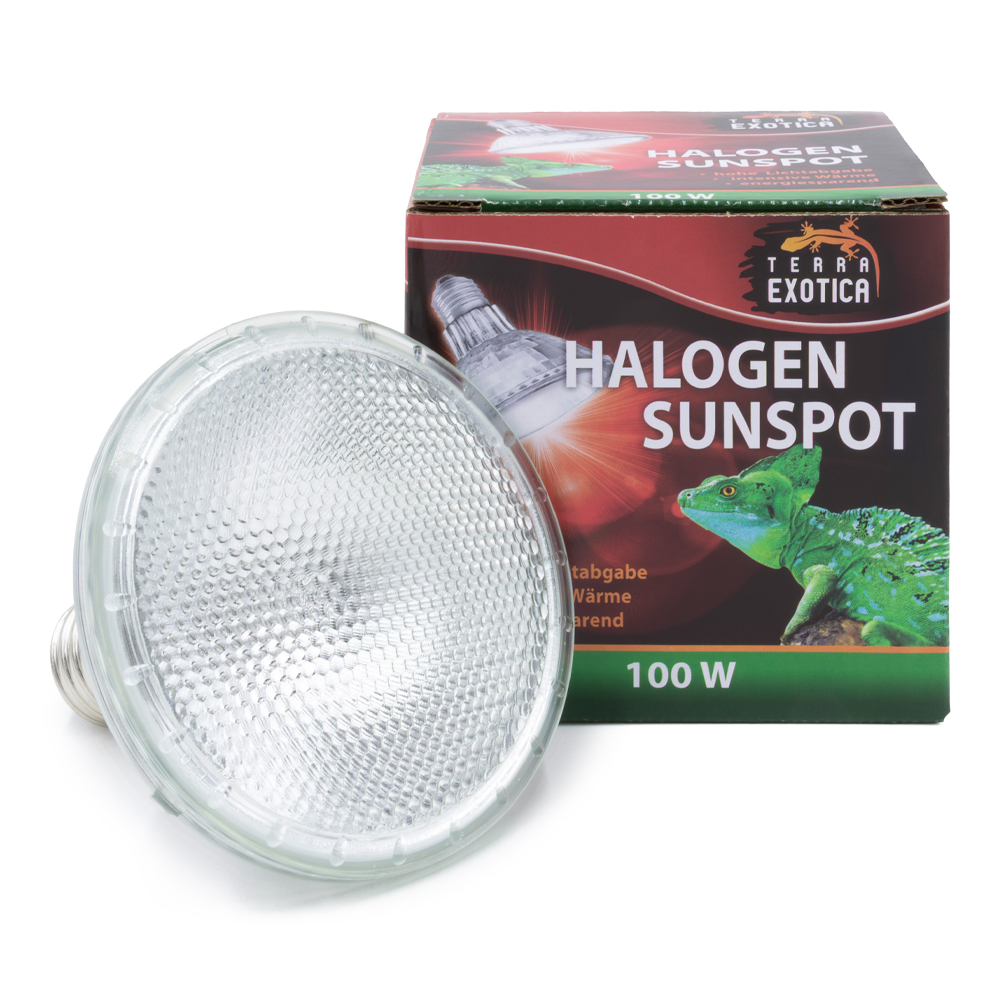 Halogen Sunspot - Halogen Spotstrahler - 100 Watt