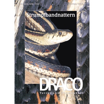 Draco 25 - Strumpfbandnattern
