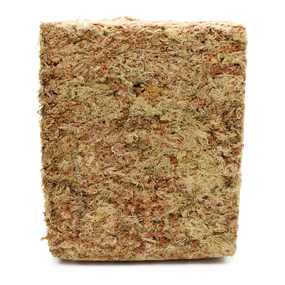 Sphagnum Moos - ca. 500 g