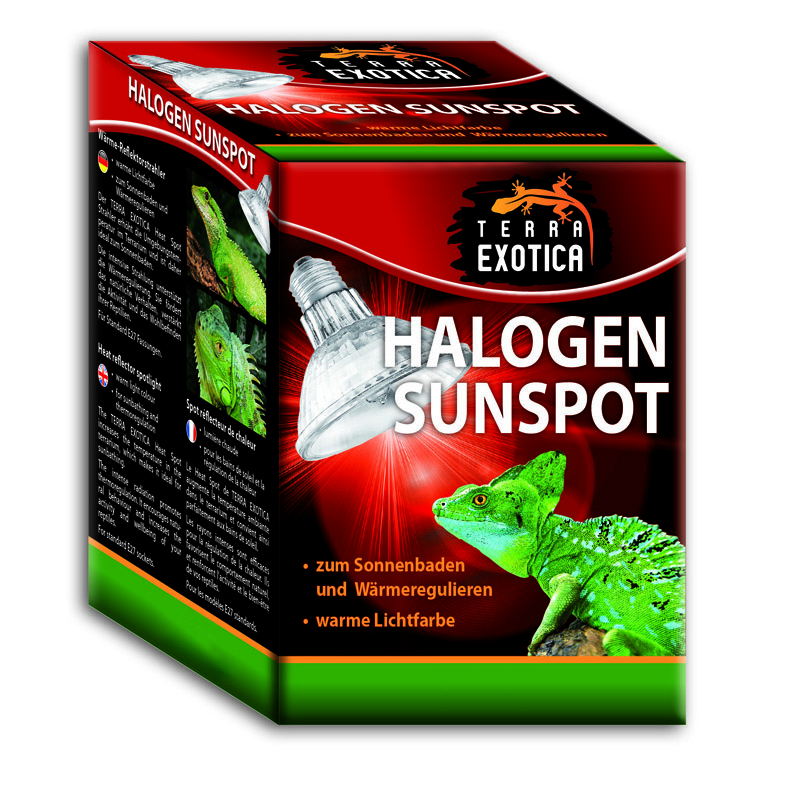 Halogen Sunspot 100 Watt - Halogen Spotstrahler