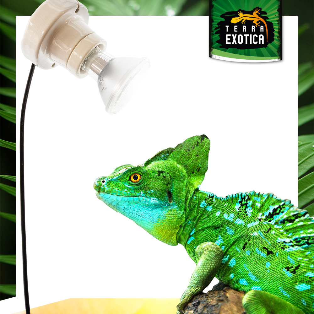 Zuleitungskabel - Eurostecker mit Handschalter - 1,8 m - Schwarz