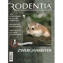 Rodentia  4 - Zwerghamster
