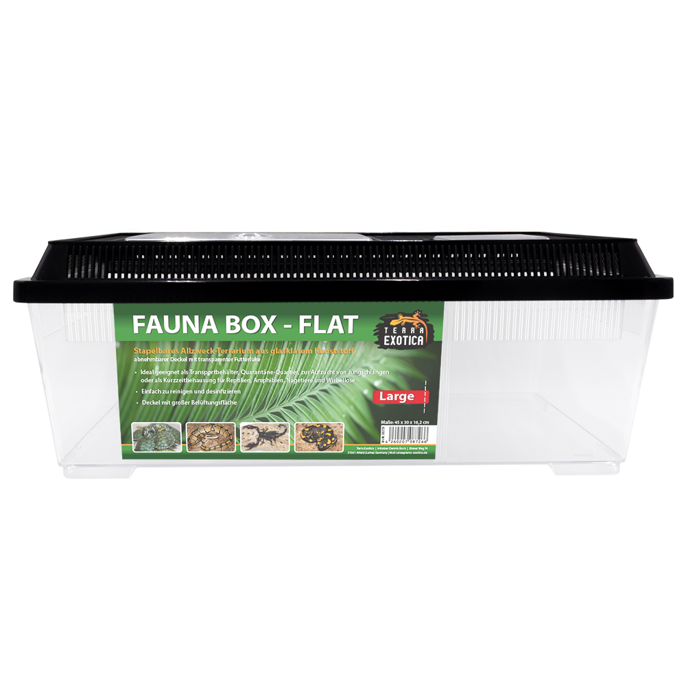 Fauna Box - Flat Large - 45 x 30 x 16,2 cm