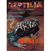 Reptilia 16 - Dornschwänze