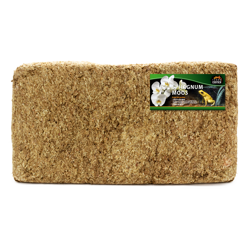 Sphagnum Moos - ca. 5kg