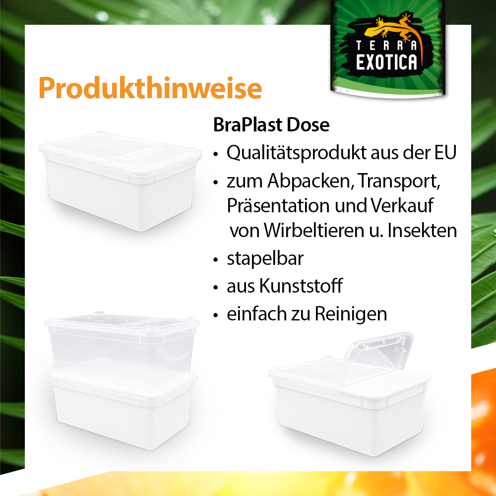 Dose 1,3 Liter – 18,5 × 12,5 × 7,5 cm – Weiß mit Klarsichtdeckel