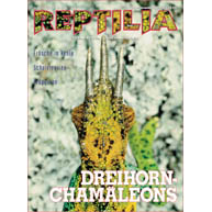Reptilia 37 - Dreihornchamäleons
