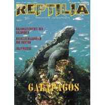 Reptilia 11 - Galapagos
