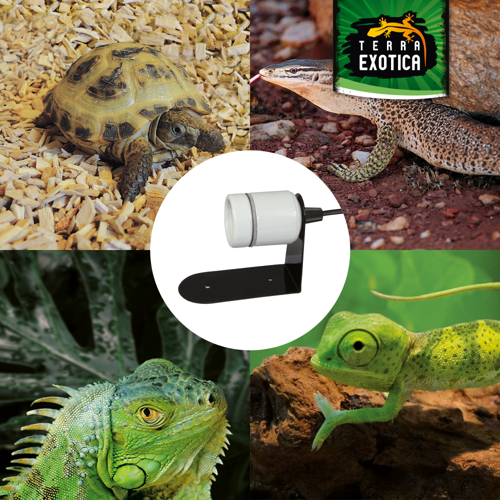 Spezialhalterung - Für energiesparende Kompaktlampen