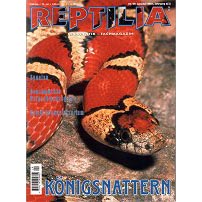 Reptilia 29 - Königsnattern
