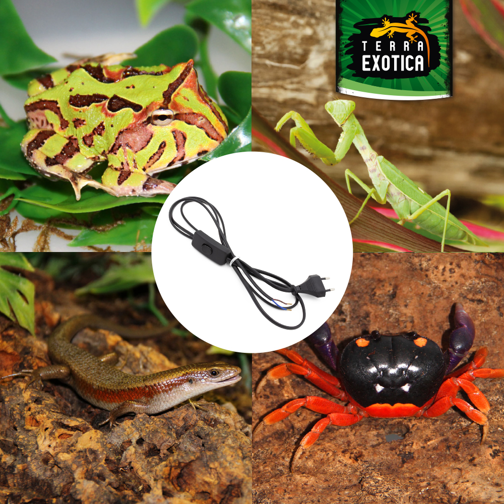 Zuleitungskabel - Eurostecker mit Handschalter - 1,8 m - Schwarz