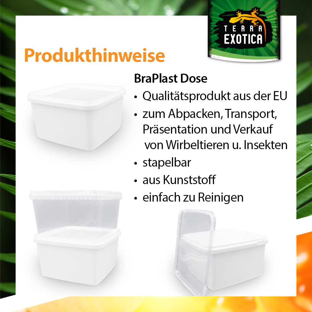 Dose 3 Liter – 19,5 × 19,5 × 11 cm – Weiß mit Klarsichtdeckel