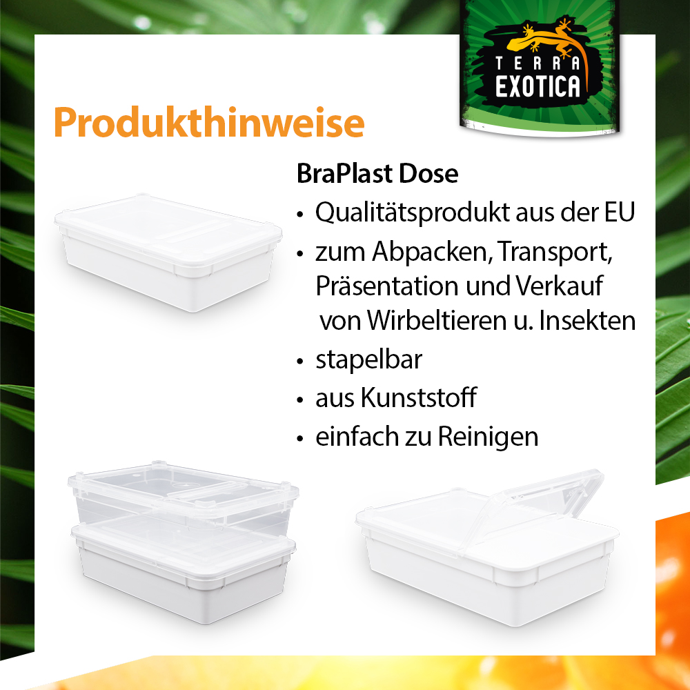 Dose 0,8 Liter – 18,5 × 12,5 × 5 cm – Weiß mit Klarsichtdeckel
