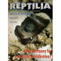 Reptilia 22 - Asiatische Schildkröten
