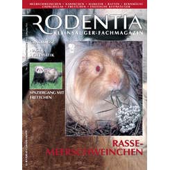Rodentia 22 - Rassenmeerschweinchen