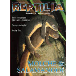 Reptilia 34 - Molche  Salamander