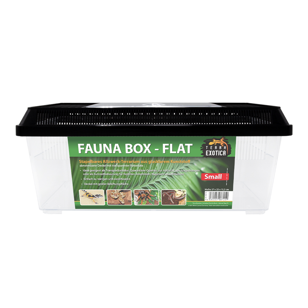 Fauna Box - Flat Small - 37 x 22 x 15,2 cm