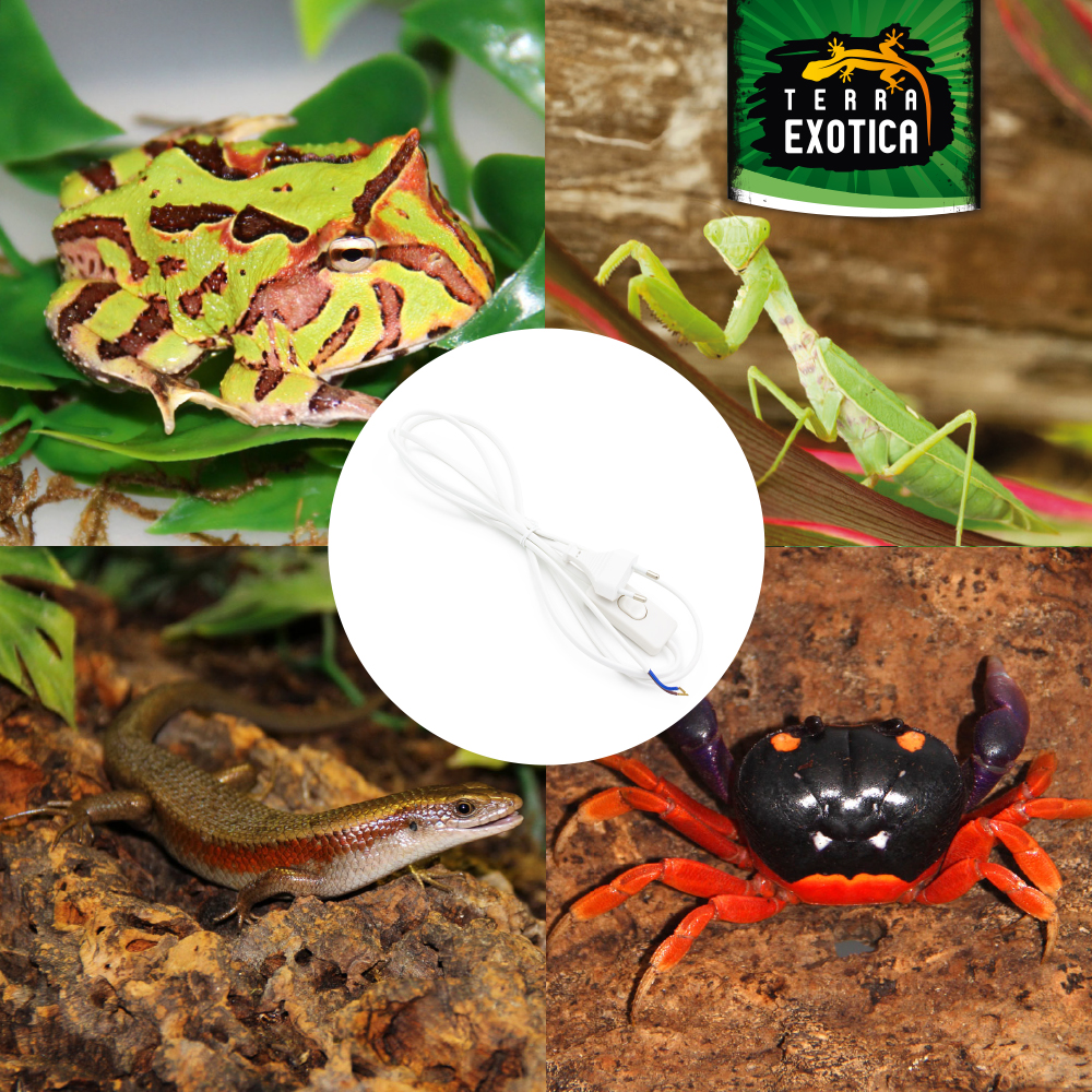 Zuleitungskabel - Eurostecker mit Handschalter - 1,8 m - Weiß