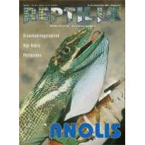 Reptilia 27 - Anolis
