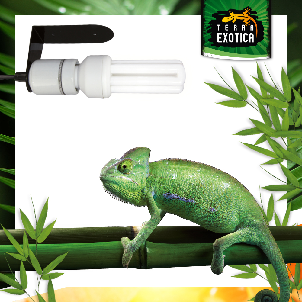 Spezialhalterung - Für energiesparende Kompaktlampen