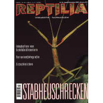 Reptilia 24 - Stabheuschrecken