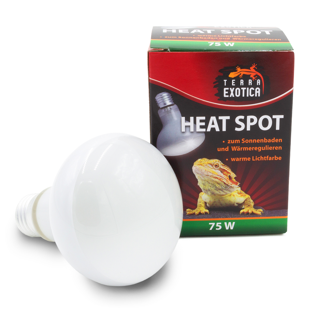 Heat Spot - 75 Watt
