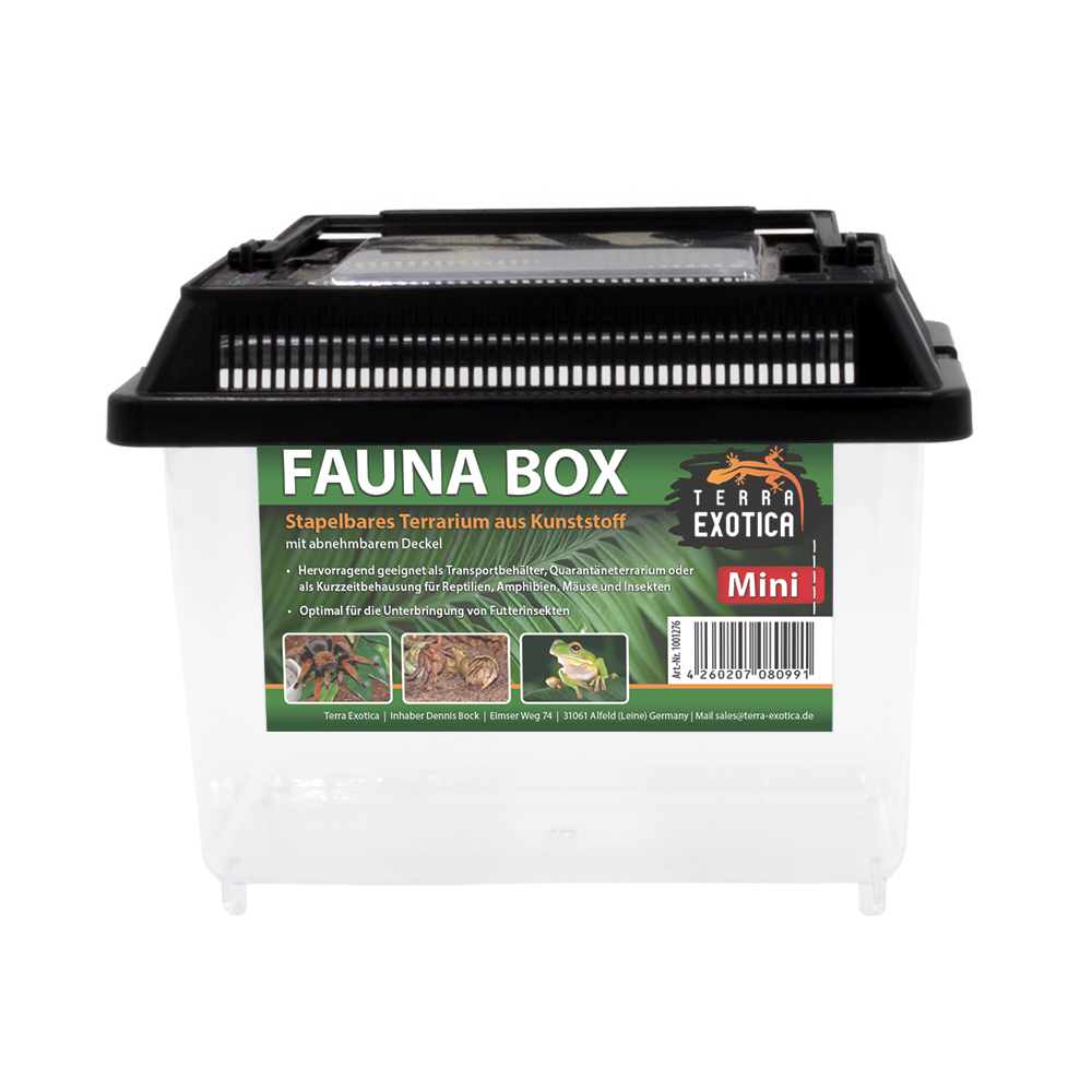 Fauna Box - Mini - 18 x 11 x 14 cm