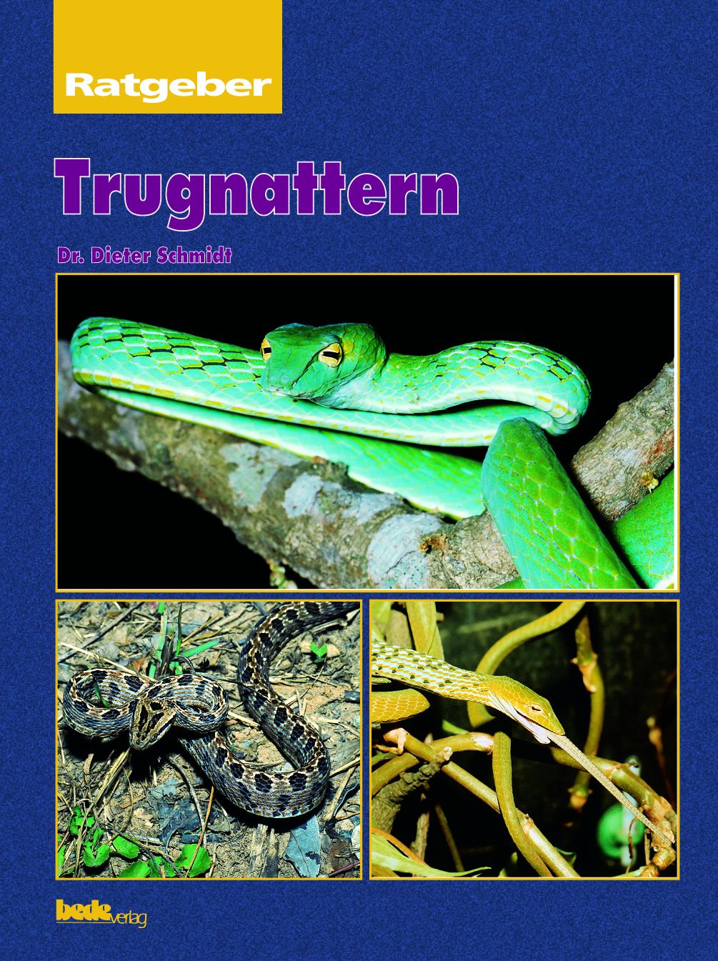 Ratgeber : Trugnattern