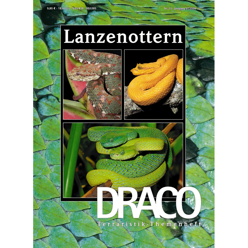Draco 33 - Lanzenottern