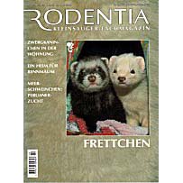 Rodentia  2 - Frettchen